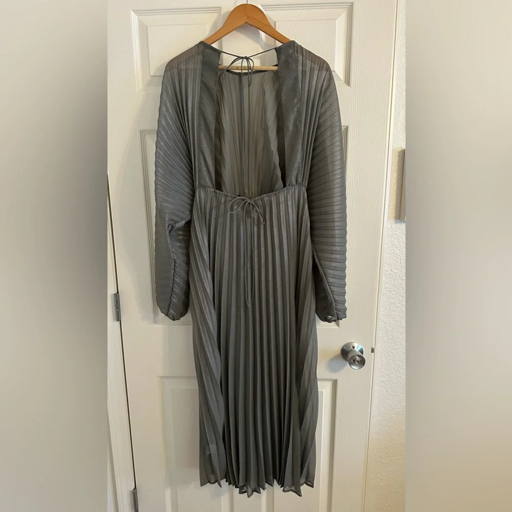 Anthropologie Sheer Pleated Taupe Maxi Dress - Picture 6 of 9